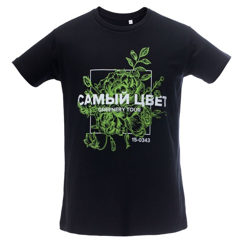 Футболка мужская Regent Fit 150, черная арт.5973.30