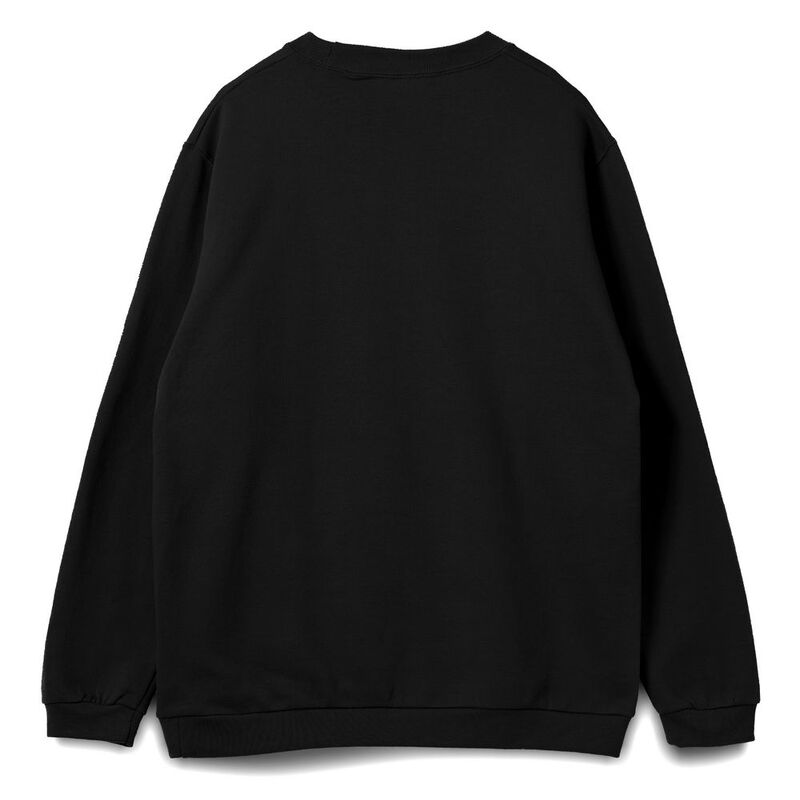 Толстовка Spider 260, черная арт.01168312