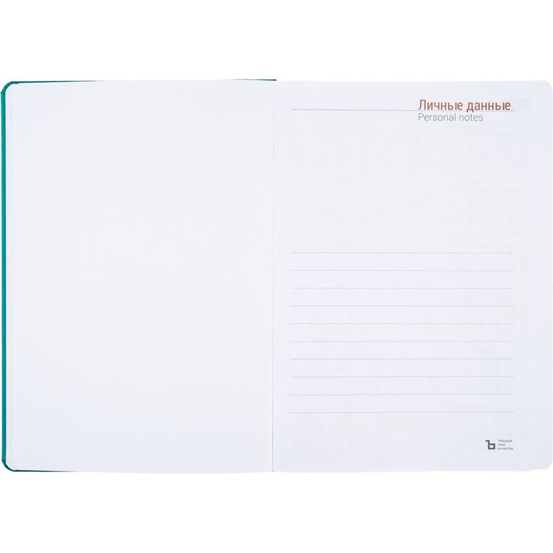 Ежедневник Basis, датированный, бирюзовый арт.2842.49