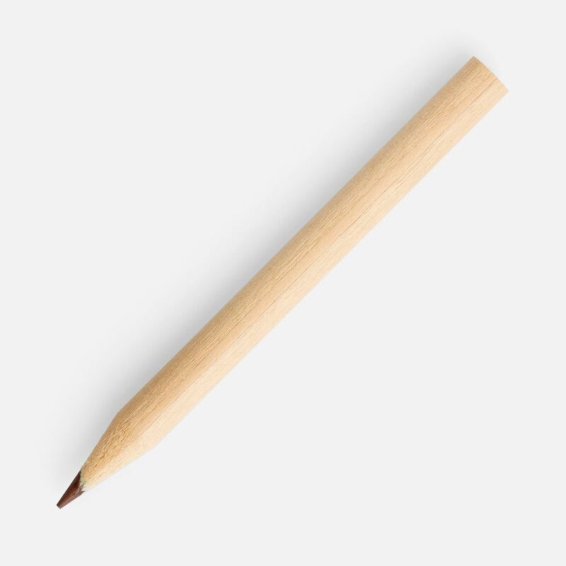 Набор цветных карандашей Pencilvania Middle арт.6901.00