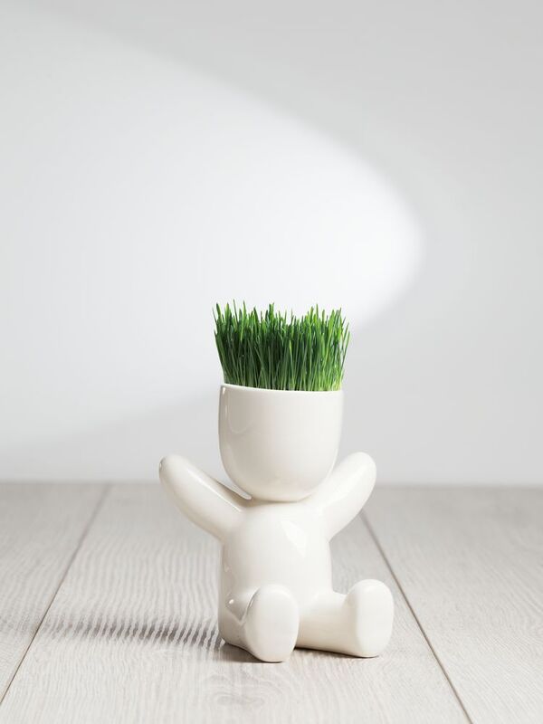 Набор для выращивания Funky Kid арт.10111.03