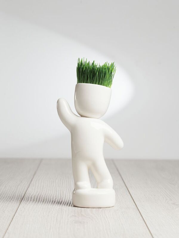 Набор для выращивания Funky Buddy арт.10111.02