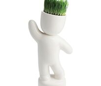 Набор для выращивания Funky Buddy арт.10111.02