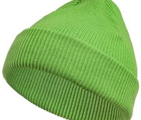 Шапка Life Explorer, зеленая (салатовая) арт.11060.90