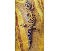 Органайзер для путешествий &laquo;Хозяйка огня&raquo; арт.70176