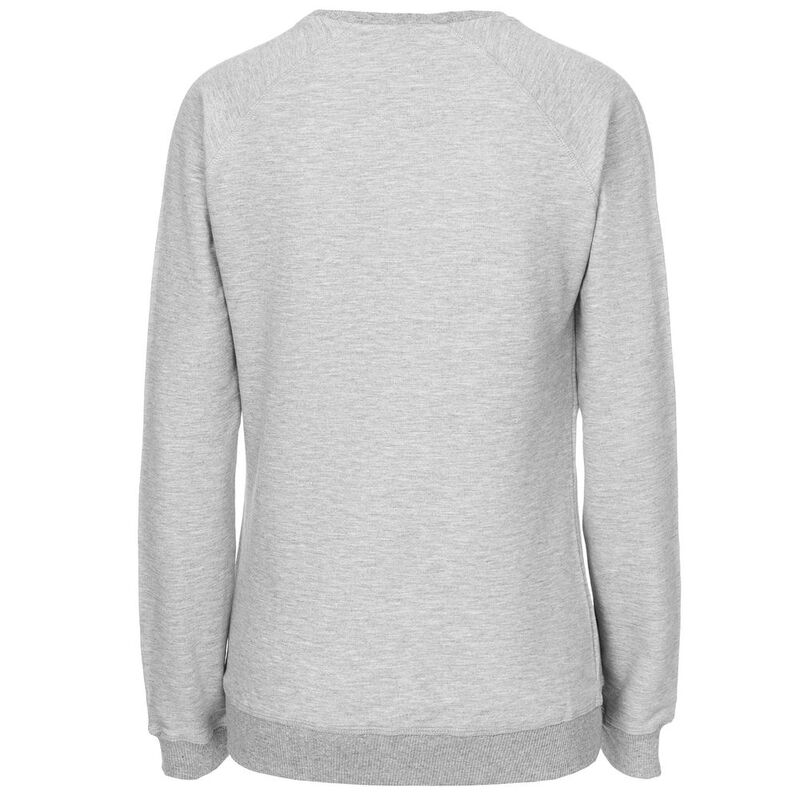 Свитшот женский &laquo;Не вы ли были у Невы&raquo;, серый меланж арт.70456.11