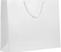 Пакет бумажный &laquo;Блеск&raquo;, большой, белый арт.5868.60