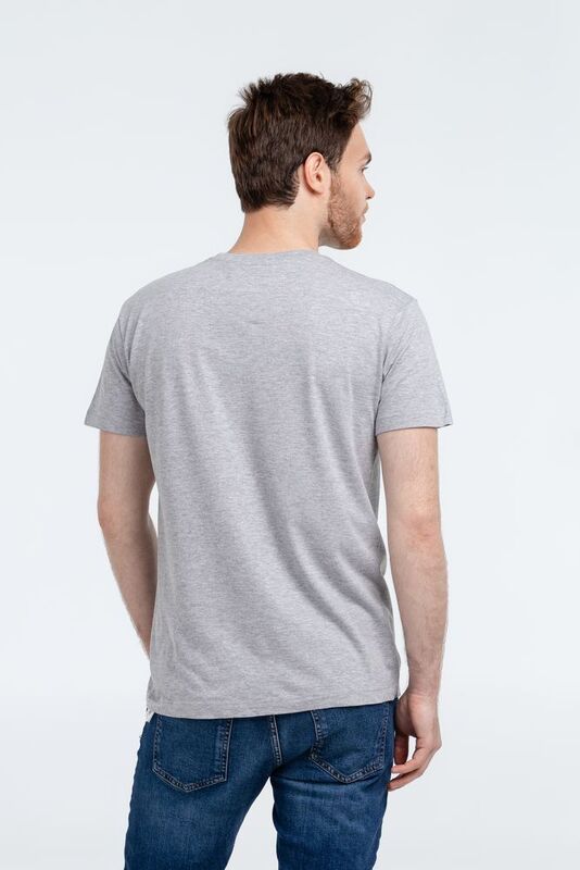 Футболка &laquo;Жар-птица&raquo;, серый меланж арт.71008.11