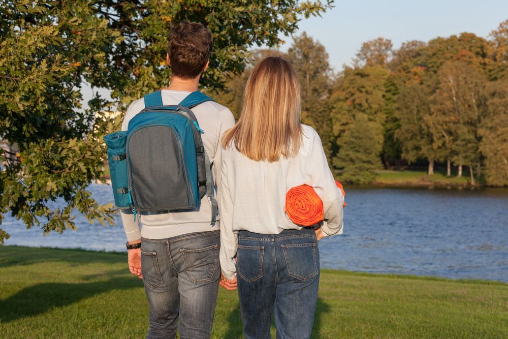 Плед для пикника Comfy, черный арт.3368.30