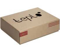 Коробка Teplo, большая, крафт арт.17203.11