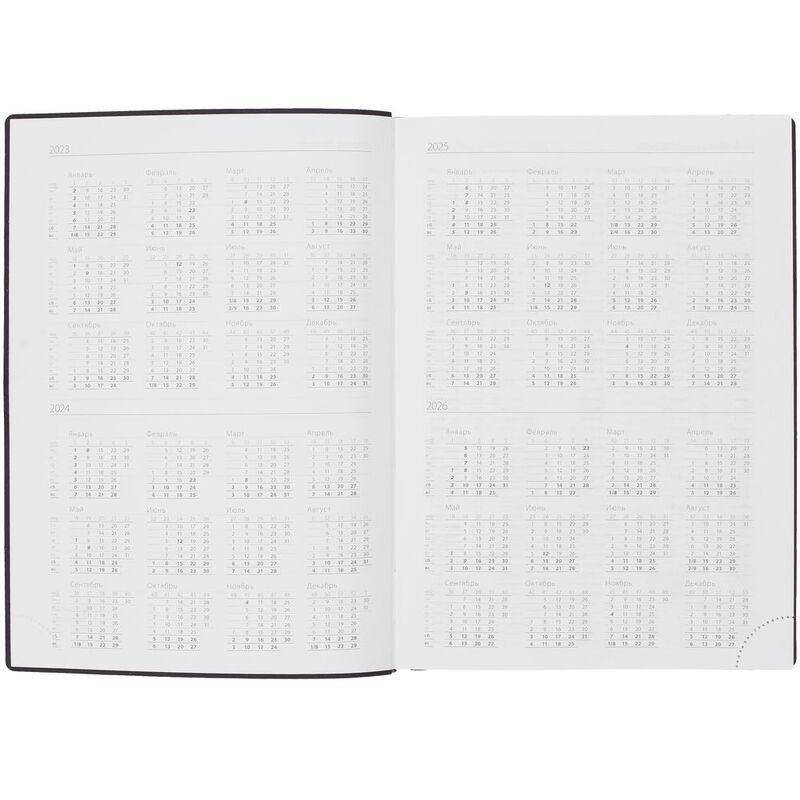 Ежедневник Vivian, недатированный, черный арт.16653.30