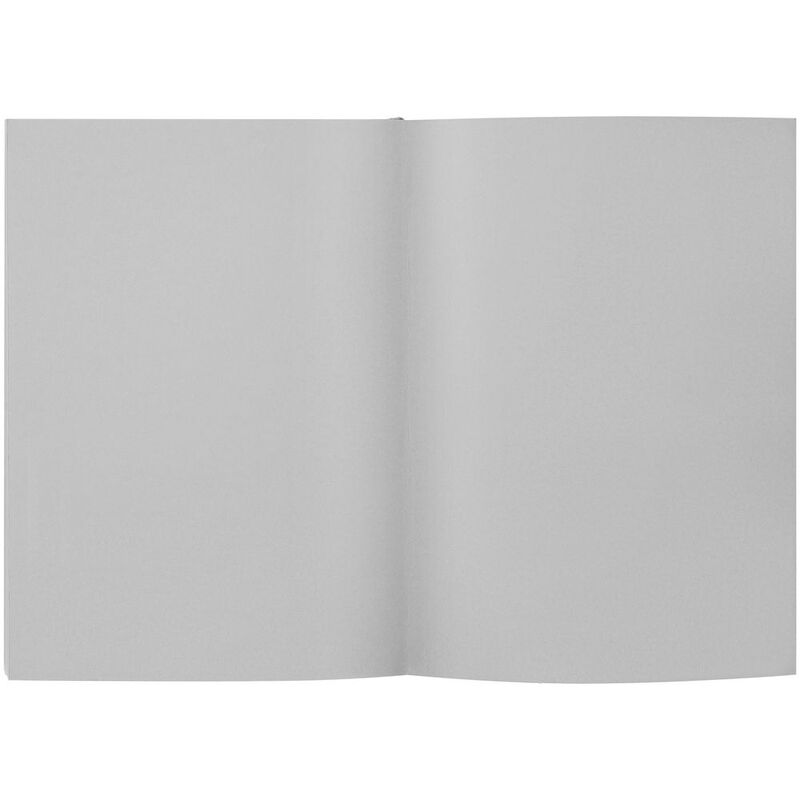 Ежедневник Flat Maxi, недатированный, серый арт.17892.10