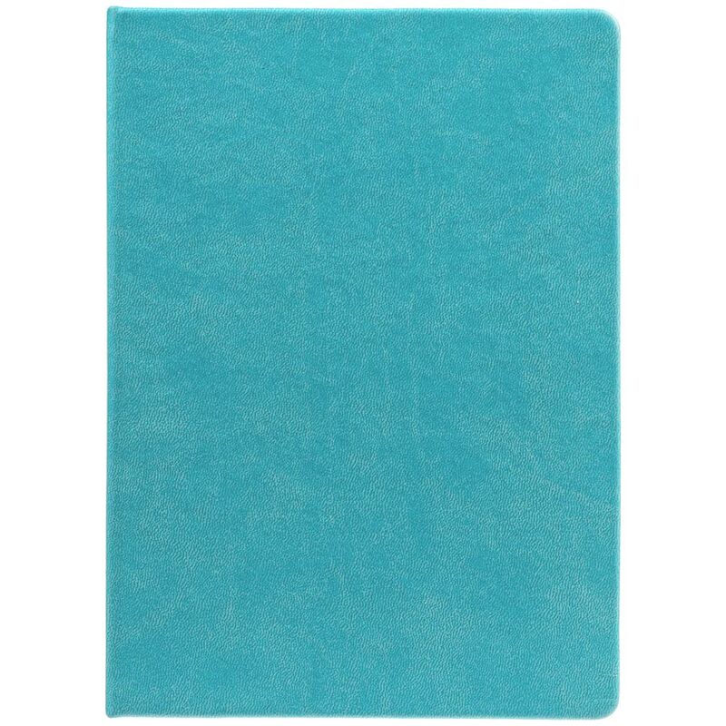 Ежедневник New Latte, недатированный, бирюзовый арт.78770.49