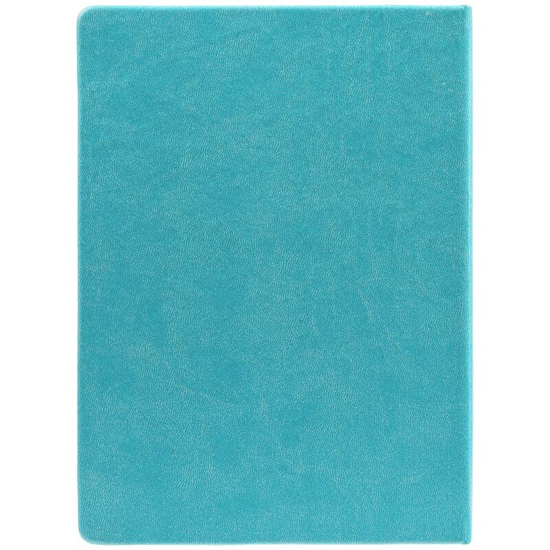 Ежедневник New Latte, недатированный, бирюзовый арт.78770.49