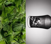 Бокал для пива Tulip арт.38899.00