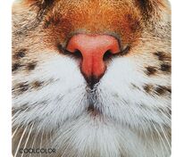 Зеркало &laquo;Кис-Kiss&raquo;, квадратное арт.71595.62