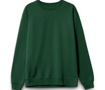 Свитшот унисекс Columbia, темно-зеленый арт.03814264