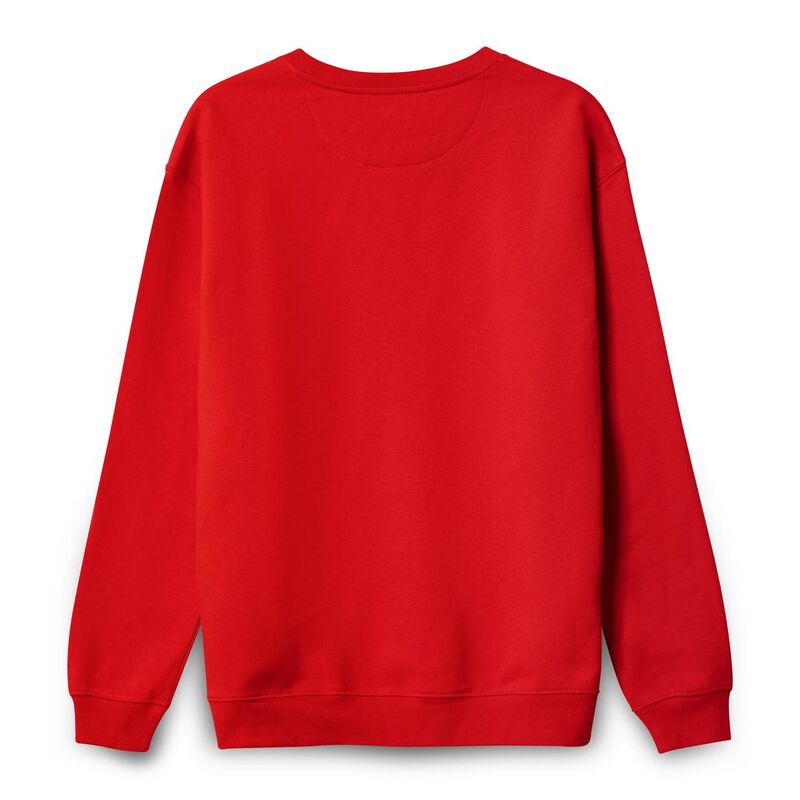 Свитшот унисекс Columbia, красный арт.03814161