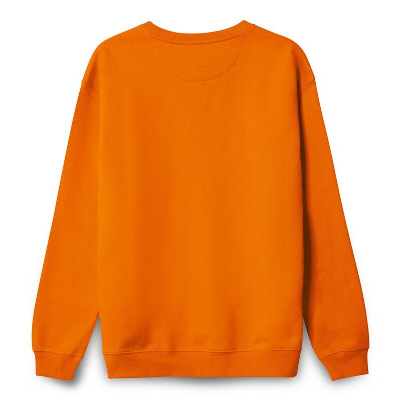 Свитшот унисекс Columbia, оранжевый арт.03814400