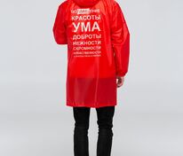 Дождевик &laquo;Воплащение всего&raquo;, красный арт.70436.50
