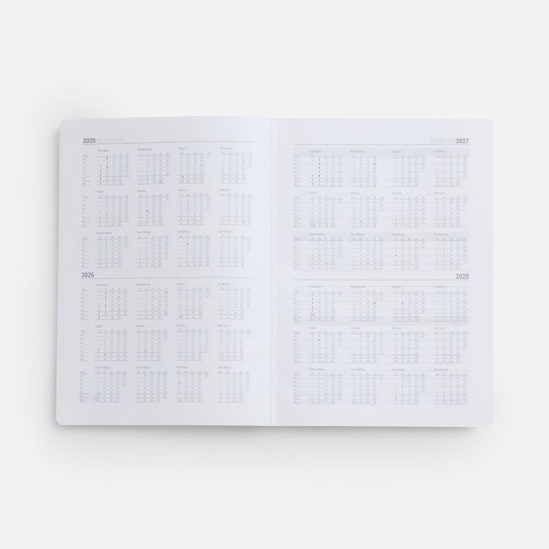 Ежедневник New Factor, недатированный, серый арт.22599.11