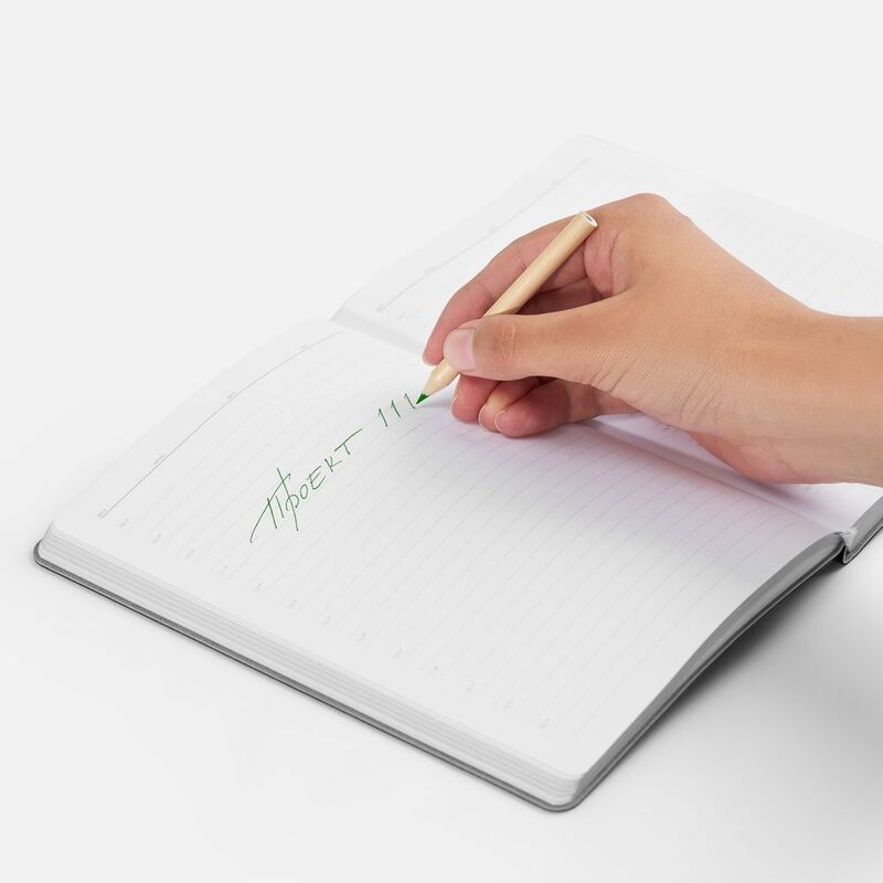 Набор цветных карандашей Pencilvania Mini, белый арт.6902.60