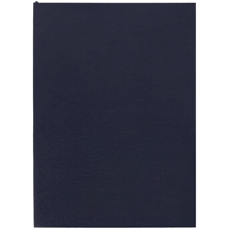 Ежедневник Flat Light, недатированный, иссиня-черный арт.17876.30