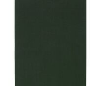 Ежедневник Flat Light, недатированный, зеленый арт.17876.90