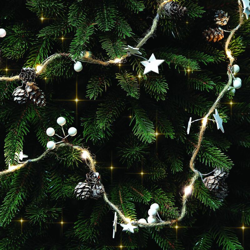 Светодиодная гирлянда Cones and Berries арт.15449.60