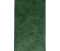 Дорожный органайзер Apache, темно-зеленый арт.3438.99