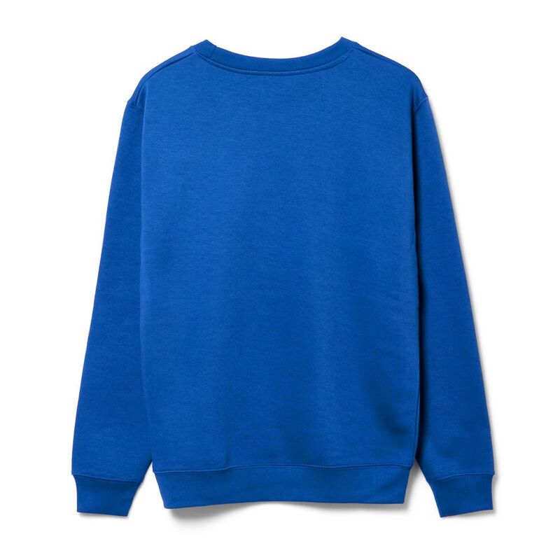 Свитшот унисекс Delta, ярко-синий арт.16275.44