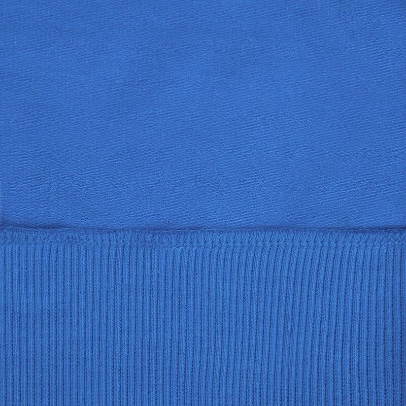 Толстовка на молнии с капюшоном Siverga 2.0, ярко-синяя арт.16213.44