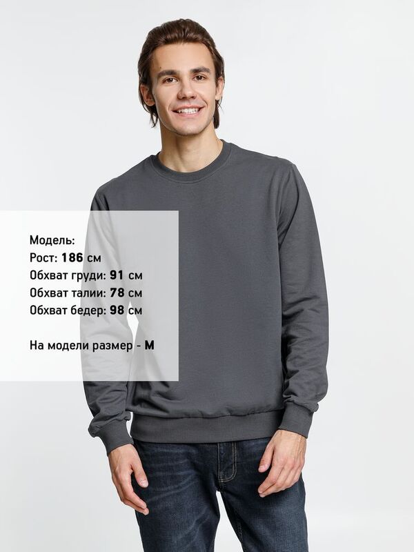 Свитшот Toima 2.0, темно-серый (графит) арт.16214.10
