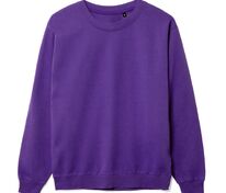 Свитшот Toima 2.0, фиолетовый арт.16214.78