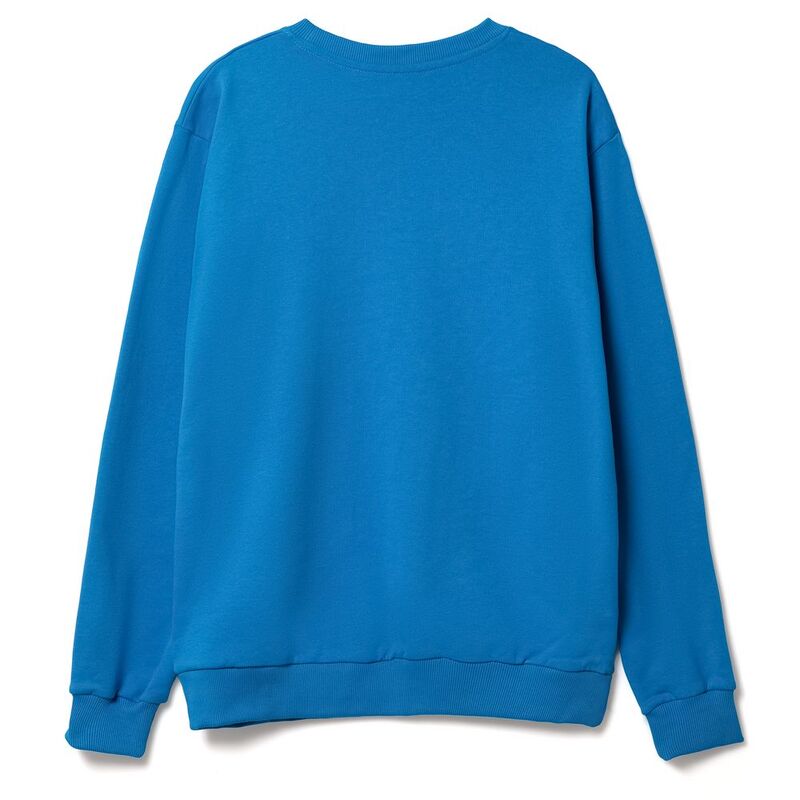 Свитшот Toima Heavy 2.0, бирюзовый арт.16217.14