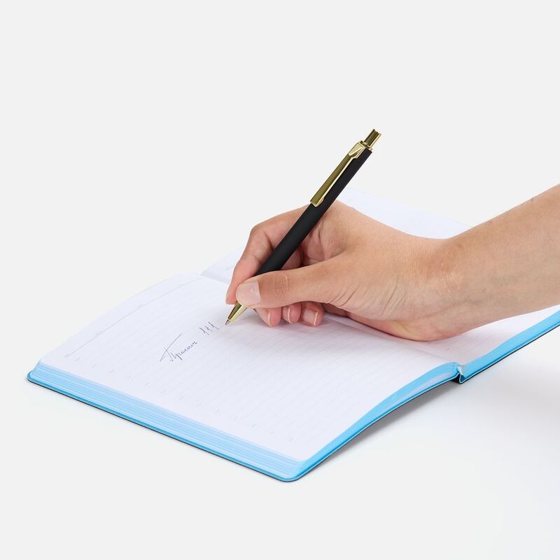 Ручка шариковая Lobby Soft Touch Gold, черная арт.18324.30