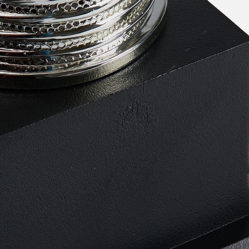 Кубок-факел Flamous Glory арт.18346.01