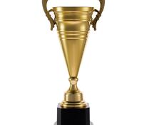 Кубок Recordsman, золотистый арт.18355.01