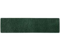 Лейбл кожаный Pasek, S, зеленый арт.16233.90