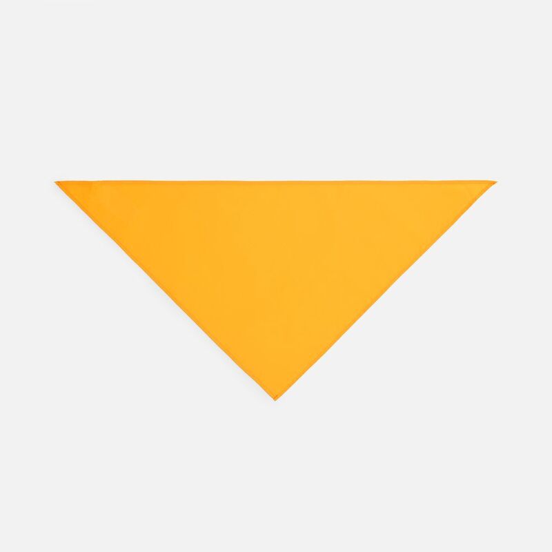 Шейный платок Bandana, желтый арт.01198301TUN