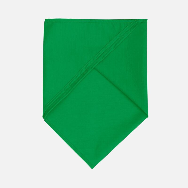 Шейный платок Bandana, ярко-зеленый арт.01198272TUN