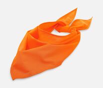 Шейный платок Bandana, оранжевый арт.01198400TUN