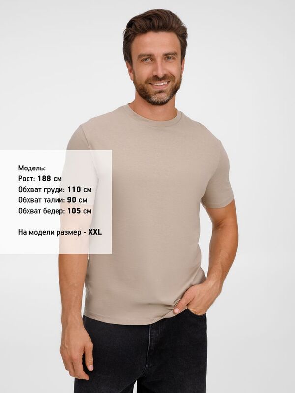 Футболка унисекс Legend, серо-бежевая арт.03981123