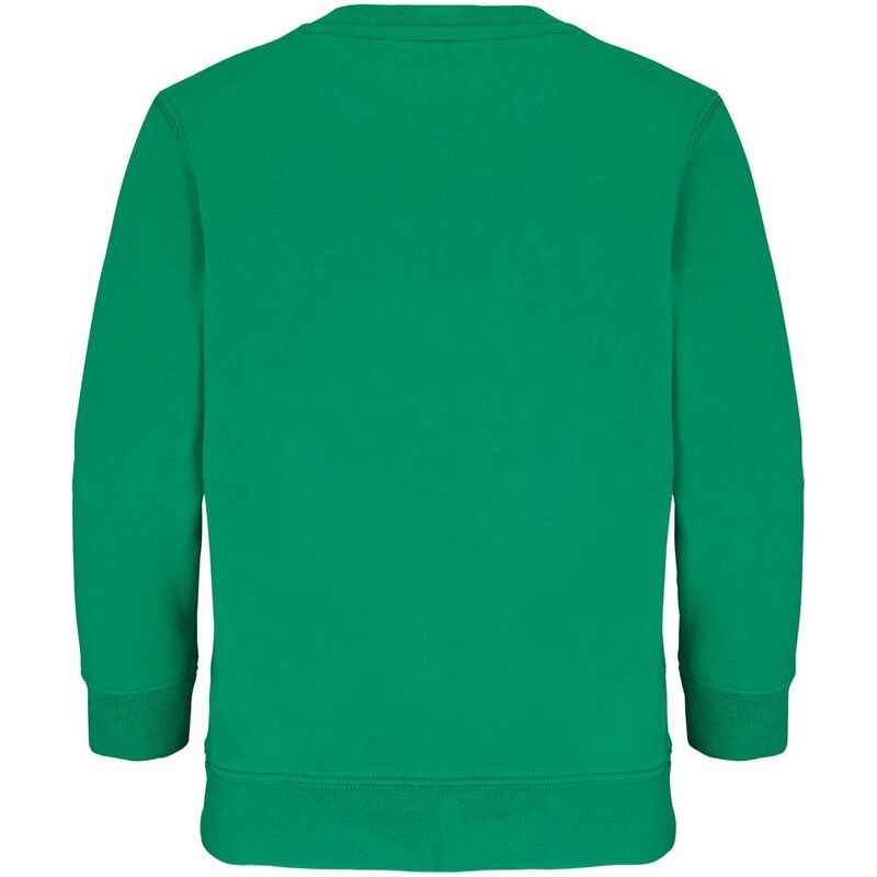 Свитшот детский Columbia Kids, ярко-зеленый арт.04239272