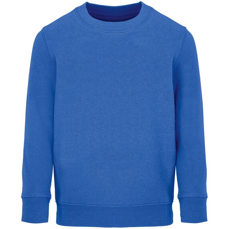 Свитшот детский Columbia Kids, ярко-синий (royal) арт.04239241