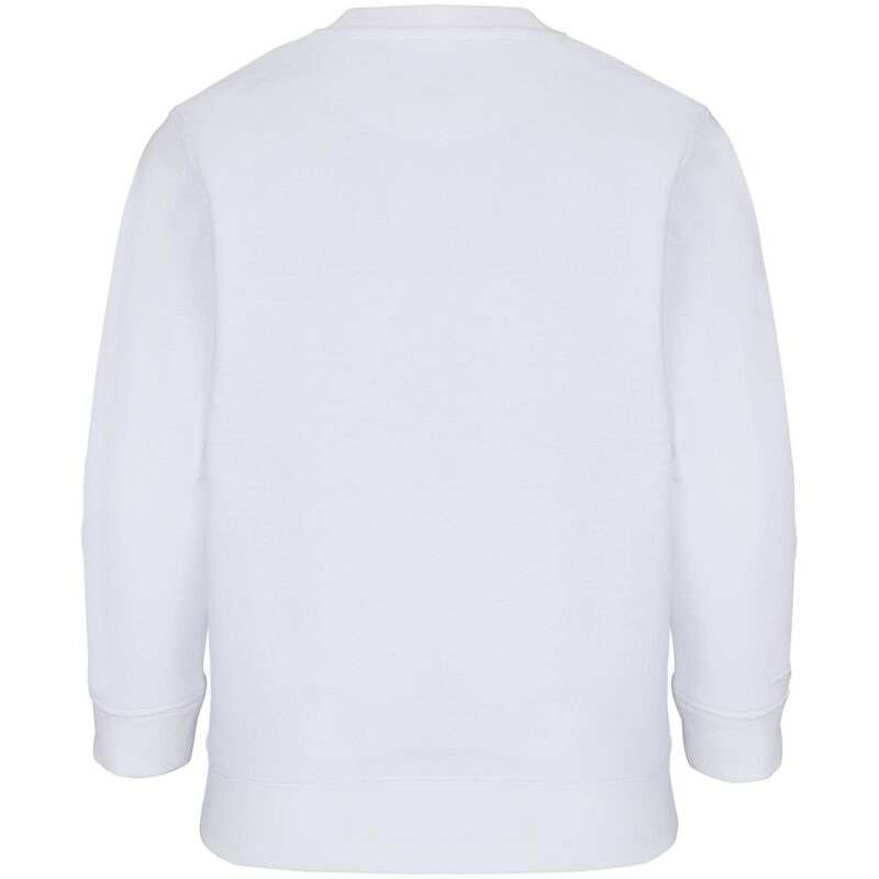 Свитшот детский Columbia Kids, белый арт.04239102