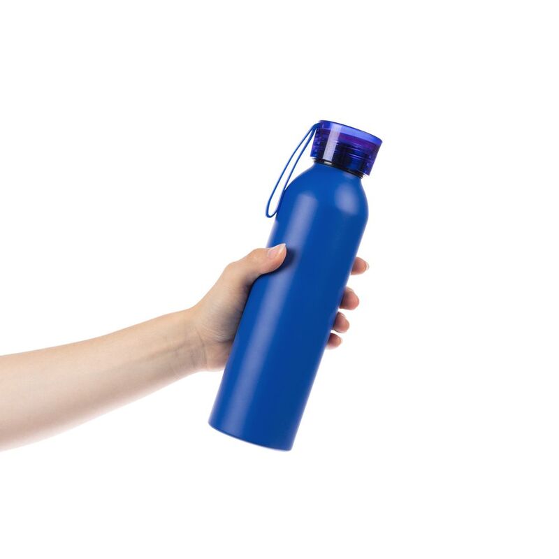 Бутылка для воды Brooke, матовая синяя арт.16447.40