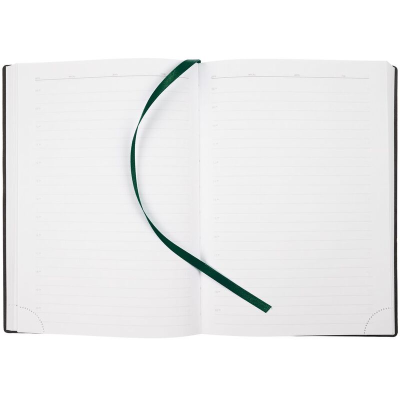 Ежедневник Vivian, недатированный, зеленый арт.16653.09