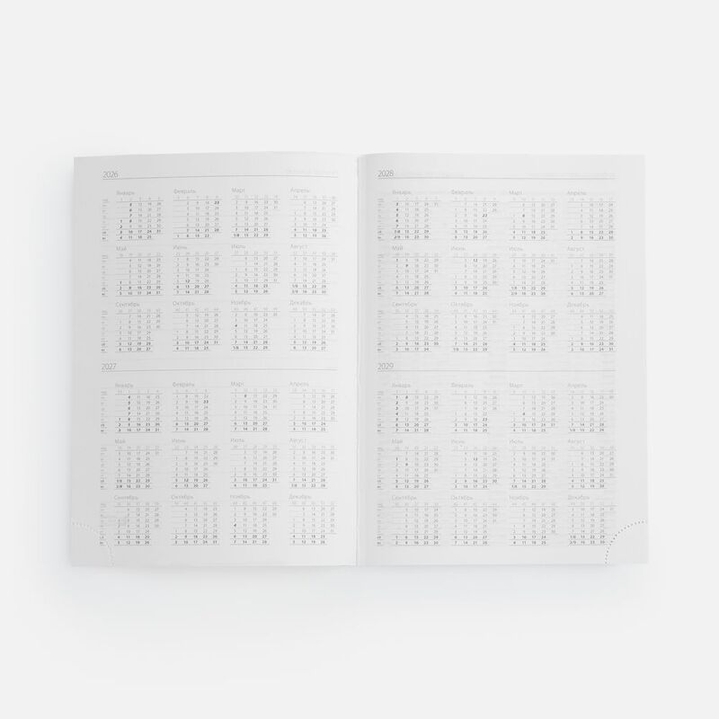 Ежедневник Vivian Metal, недатированный, красный арт.16654.05