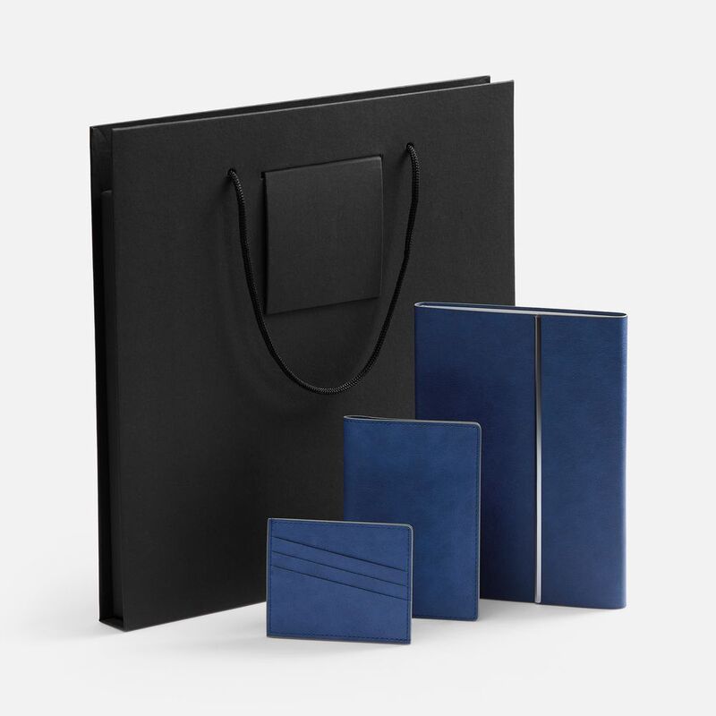 Набор Petrus Flap, синий арт.16637.40